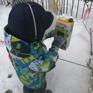 "Покормим птиц"