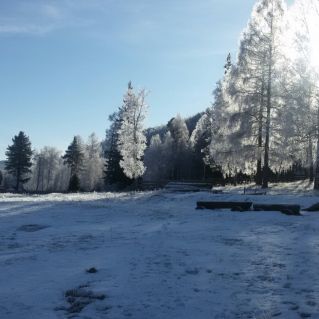 Зимний пейзаж