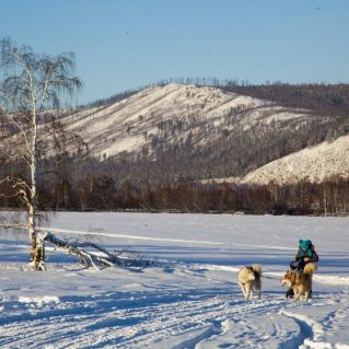 Прогулка по зимнему лесу