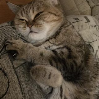 "Пора спать"