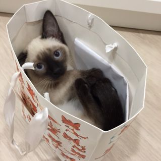 "ПОДАРОЧЕК"