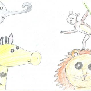 Животный мир Африки