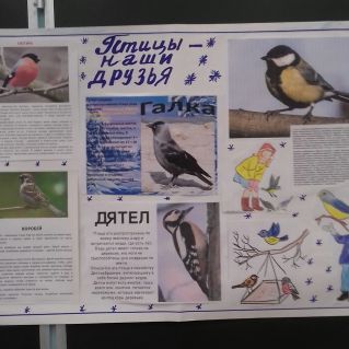Стенгазета "Птицы - наши друзья"