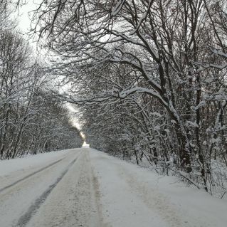 Зимняя дорога