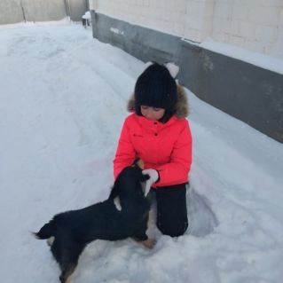 Мой ласковый и нежный друг