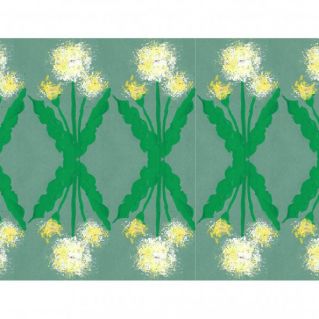 Одуванчики