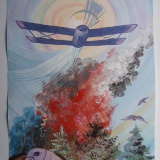 Лесопожарная авиация