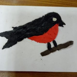 Красногрудый гость