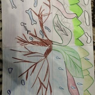 Эко факторы