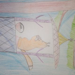 Белка песенки поёт...