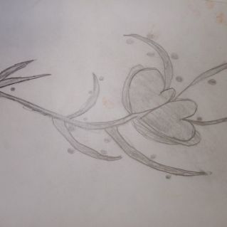 Влюбленные.