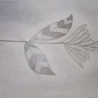 Цветок счастья.