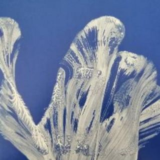 "Сказочный Лебедь"