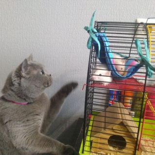 Первая встреча