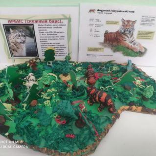 "Остров тигров"