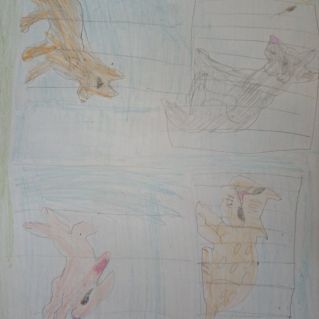 Жители зоопарка.