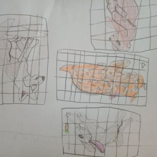 Жители зоопарка.