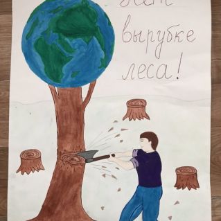 Нет вырубке леса