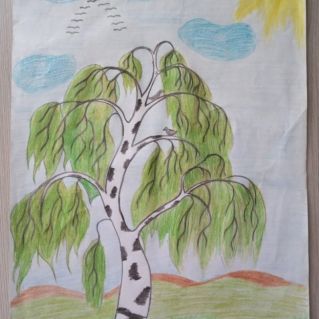 рисунок "Красавица берёзка""