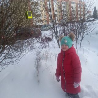 Поможем птицам, люди! Они ведь так малы, давайте не забудем их в долгий день зимы.