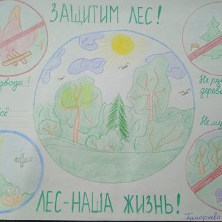 Защитим лес!