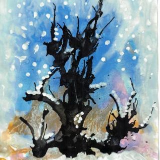 "Северное сияние"