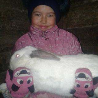 "Мой кролик Красавчик"