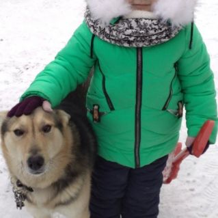 "Верный друг"