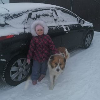 "Любимец Дик"