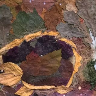 "Ёжик". флористика