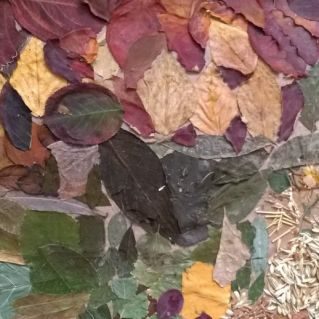 Осенний день"" флористика