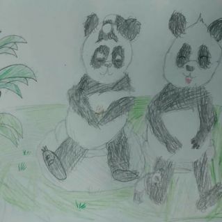 Милые панды