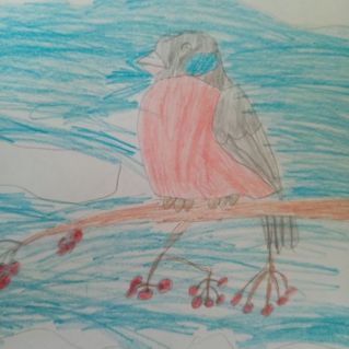 Птица на рябине.