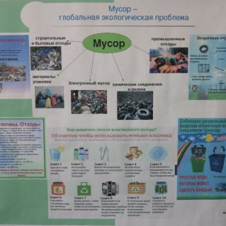 Проблемы экологии.