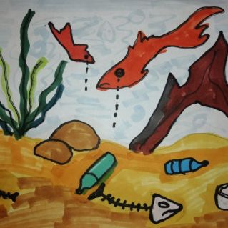 Экология водоёмов.