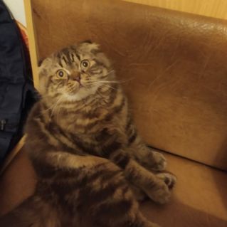 "Что я сделал?"