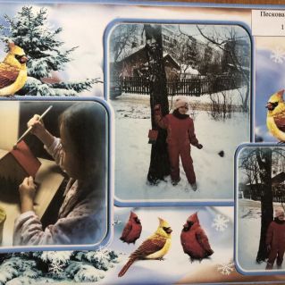 "Поможем зимующим красавицам-птичкам!"