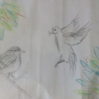 Пернатые друзья