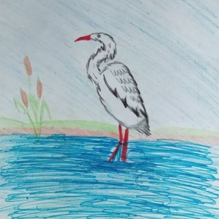 Забайкальский журавль