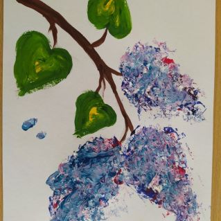 Цветущая сирень