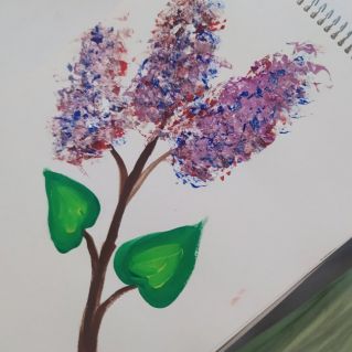 Цветущая сирень