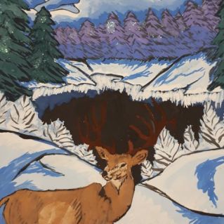 "Зима Севера"