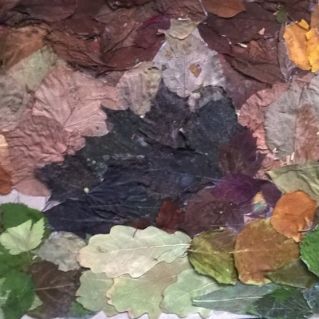 "Ёжик на прогулке"