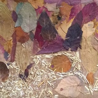 "Осенний лес"