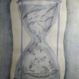 Мы за чистый мир!