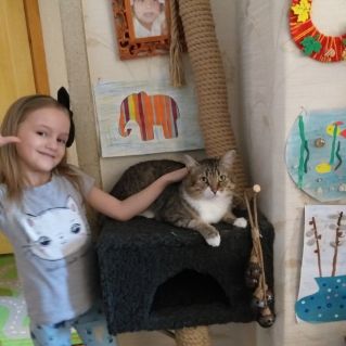 Кот Рафаэль