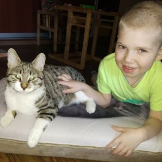 Кошка Бусинка