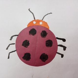 Божья коровка.