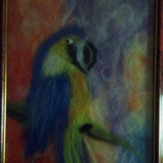 "Пернатый друг"