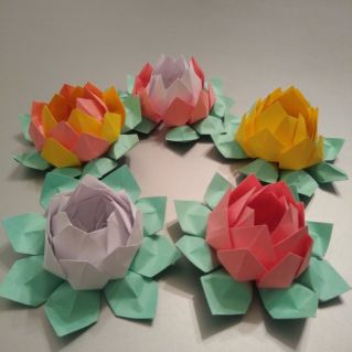 «Элегантные лотосы»